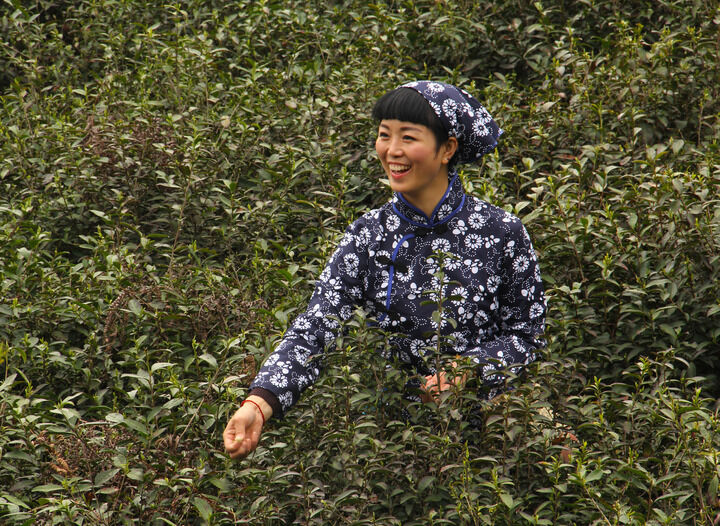 舂梦推荐1